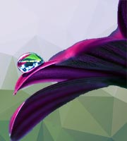 FTSUeL
